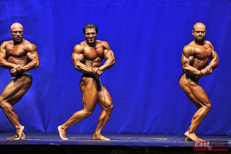 Fredrik Spång, Mahmut Irmak, Georgi Yordanov