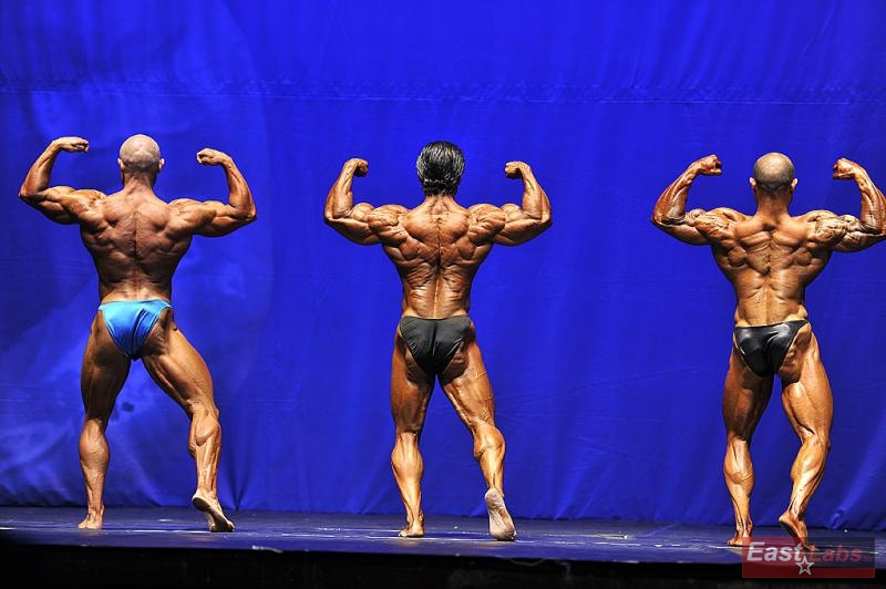 Fredrik Spång, Mahmut Irmak, Georgi Yordanov