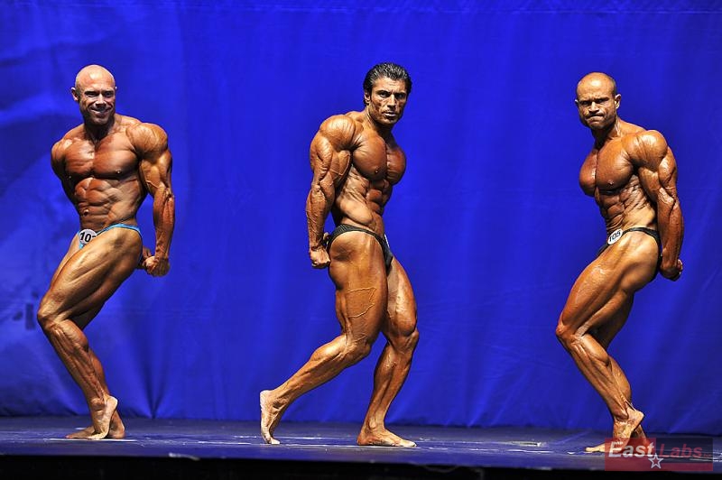 Fredrik Spång, Mahmut Irmak, Georgi Yordanov