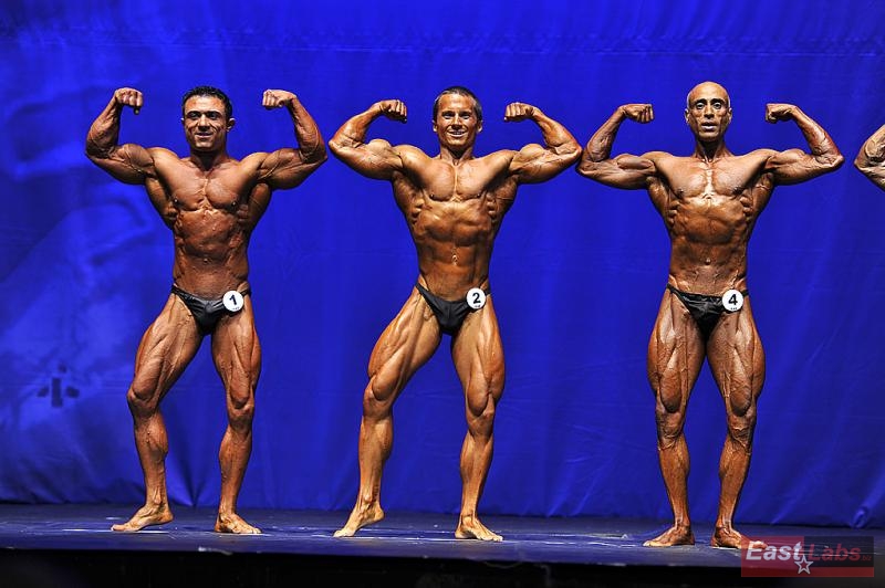Teymur Aslanov, Tom� Luk��, Abdulgani Erbezirgan