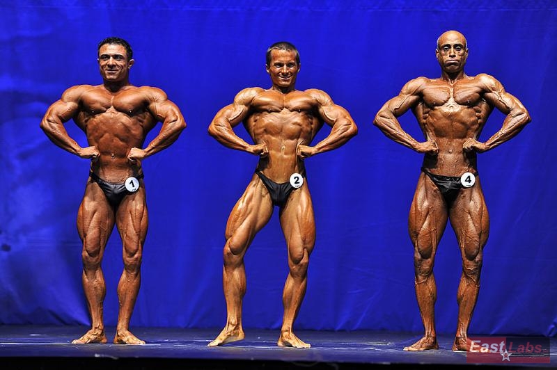 Teymur Aslanov, Tom� Luk��, Abdulgani Erbezirgan