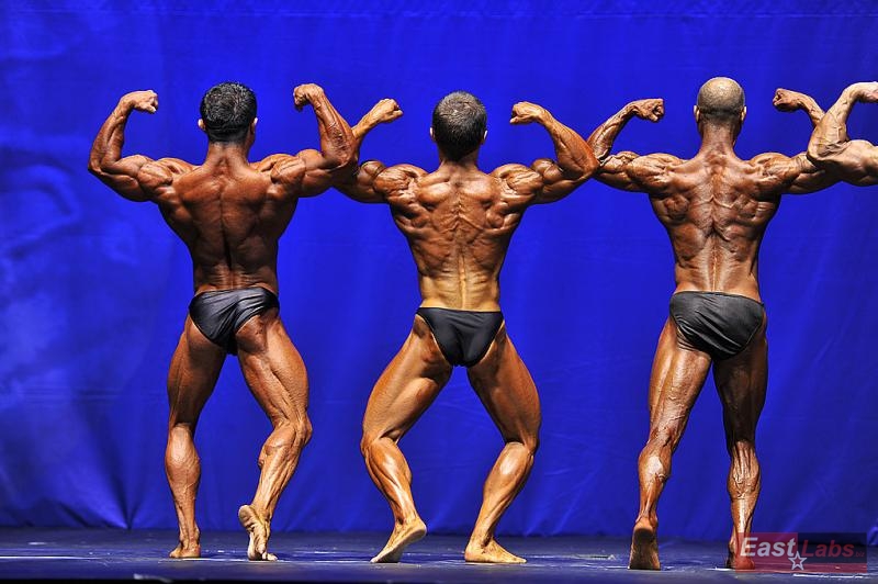 Teymur Aslanov, Tom� Luk��, Abdulgani Erbezirgan