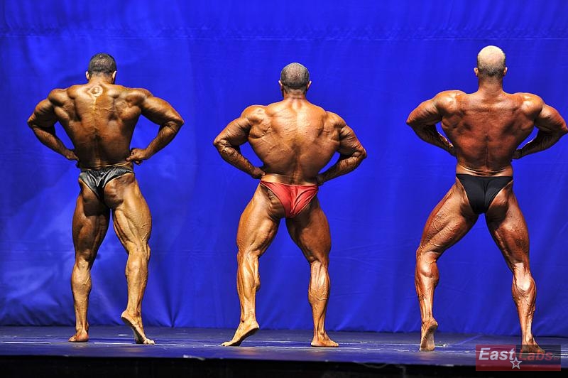 Reza Zinatlov, Georgi Slavov, Peter Baers