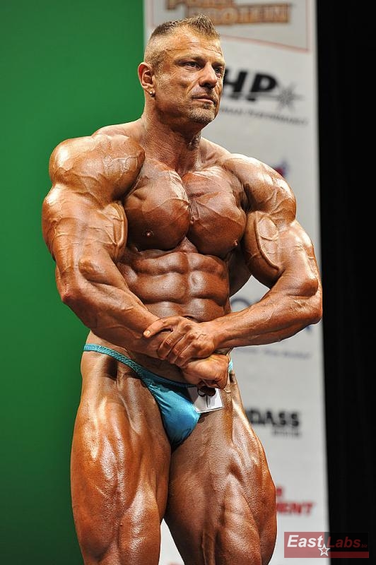 Dalibor H�jek