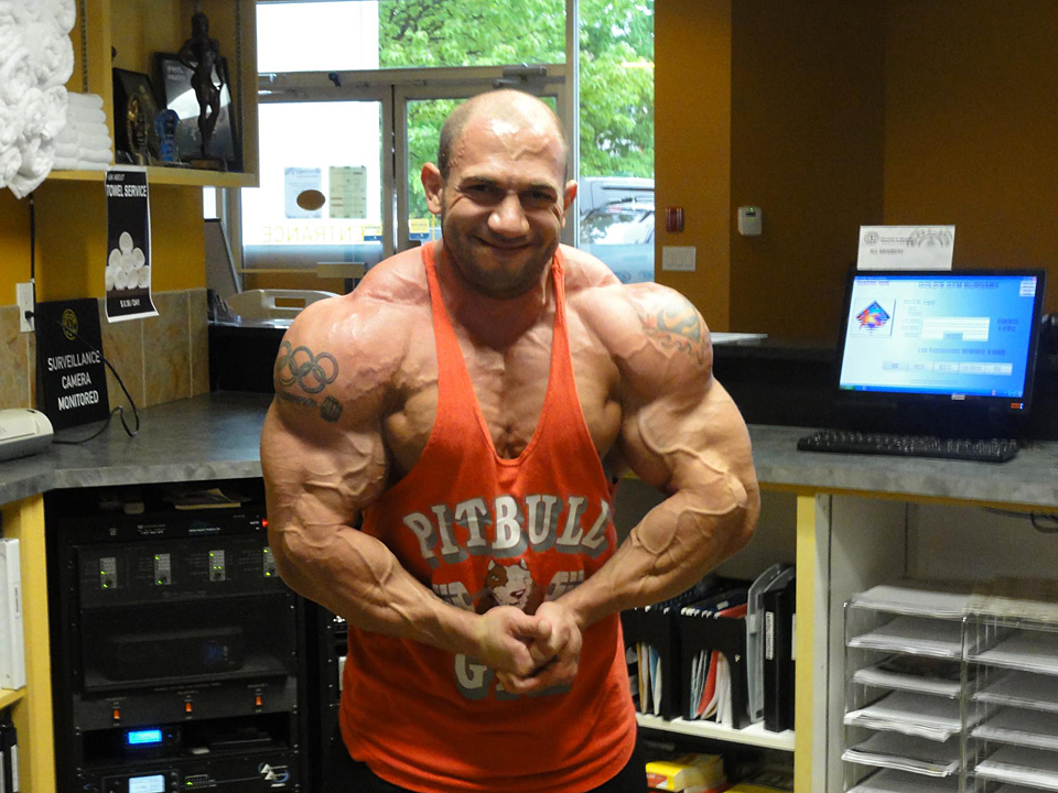 Amit Sapir