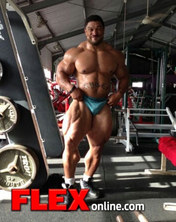 Roelly Winklaar