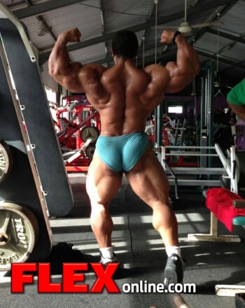 Roelly Winklaar