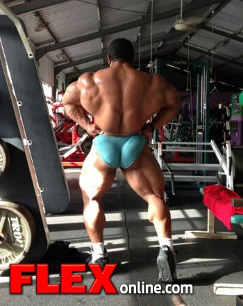 Roelly Winklaar
