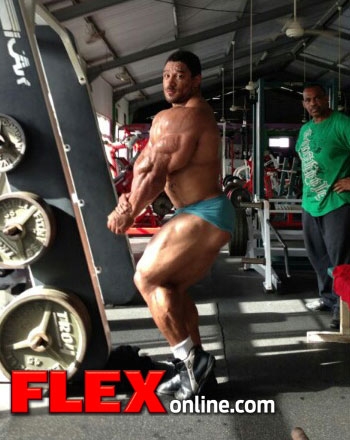 Roelly Winklaar