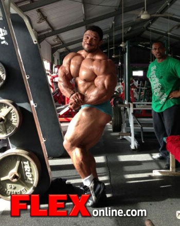 Roelly Winklaar