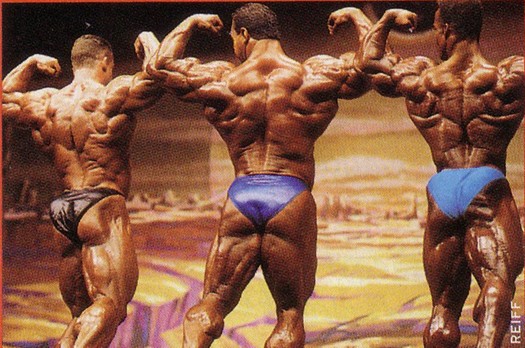 Mr. Olympia 1995: Yates, Sonbaty, Ray