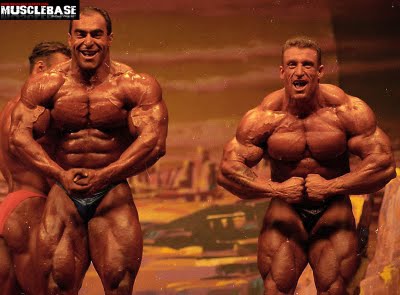 Mr. Olympia 1995: Sonbaty, Yates