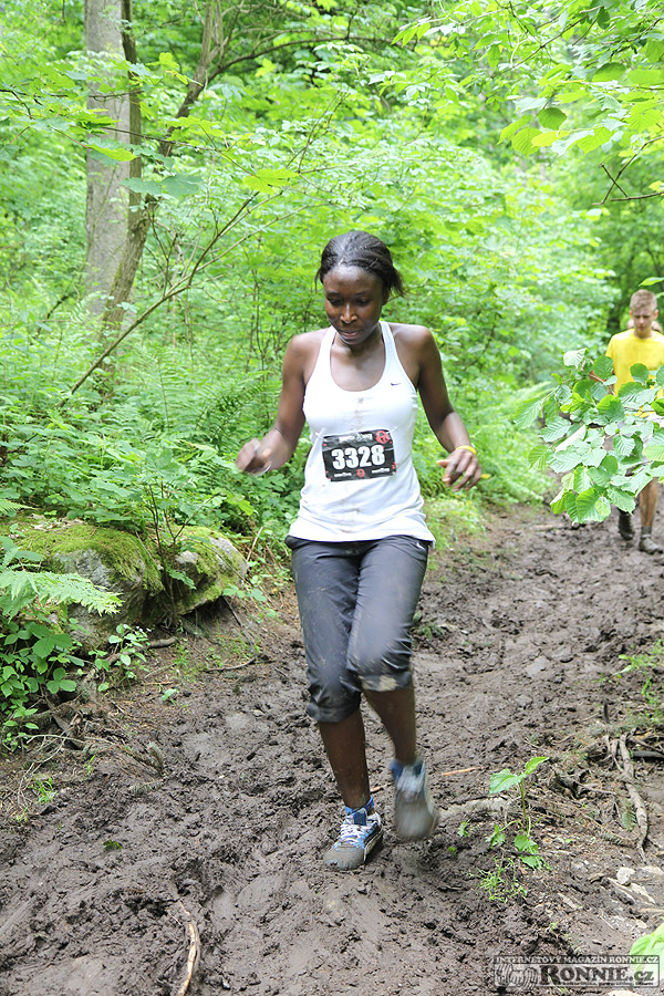 Spartan Race Sprint 2013 (Mon�nec)