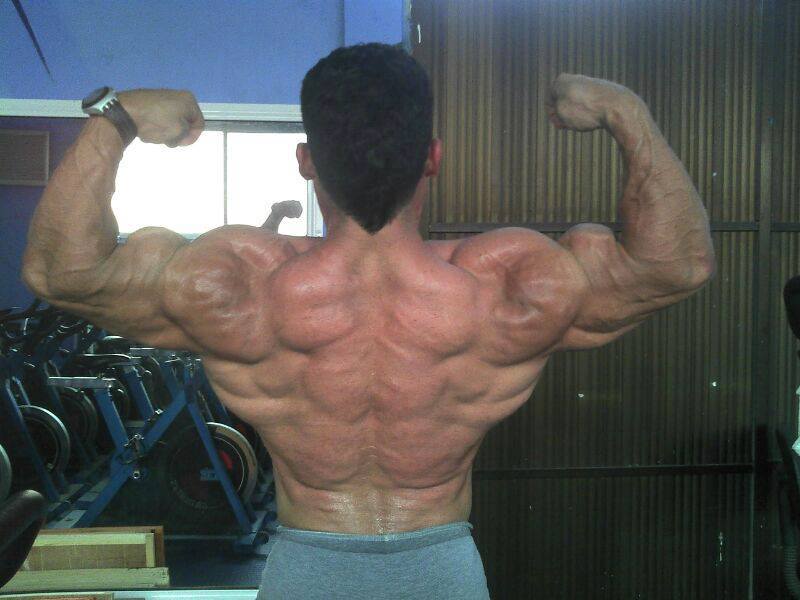Angel Vargas