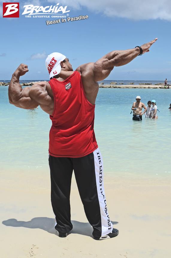 Roelly Winklaar