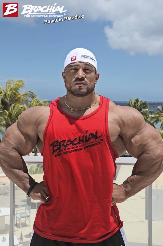 Roelly Winklaar