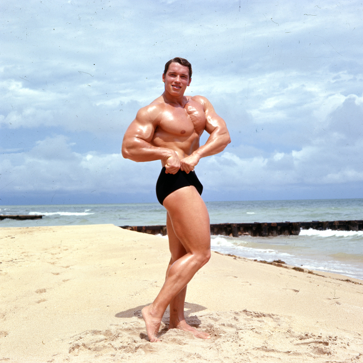 Arnold Schwarzenegger