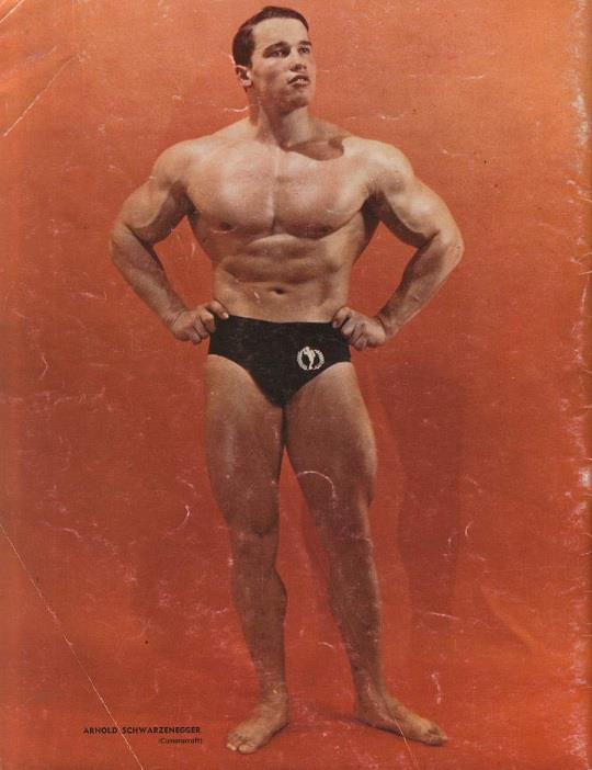 Arnold Schwarzenegger