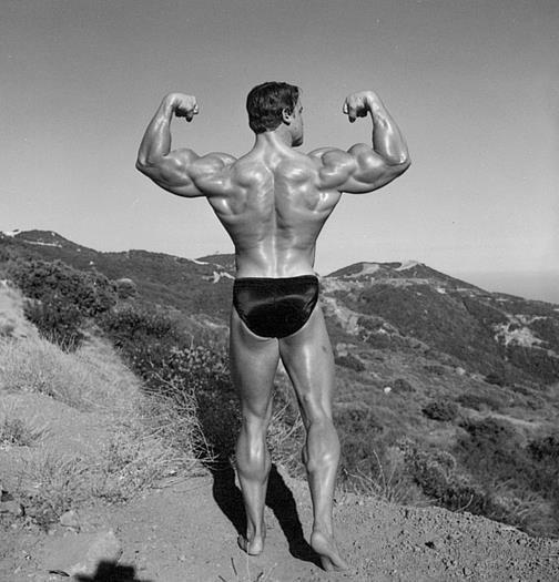 Arnold Schwarzenegger