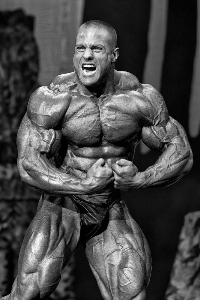 Evan Centopani