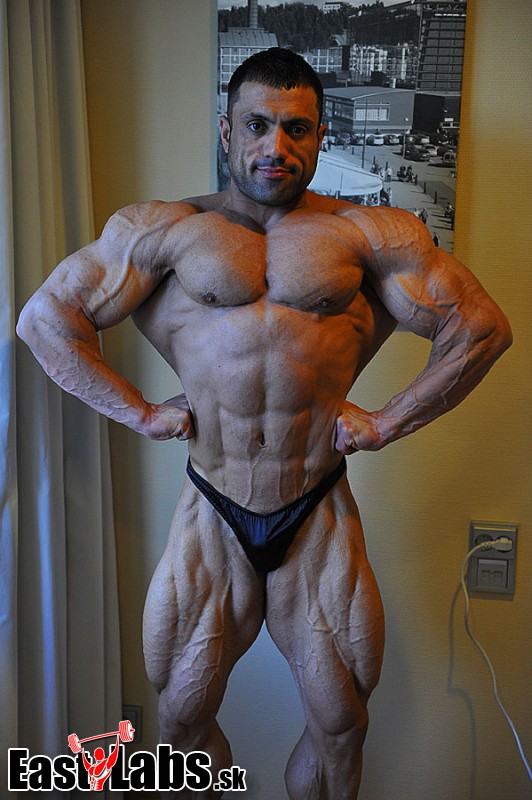 Mehdi Hatami