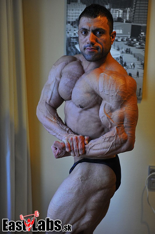 Mehdi Hatami