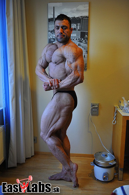 Mehdi Hatami