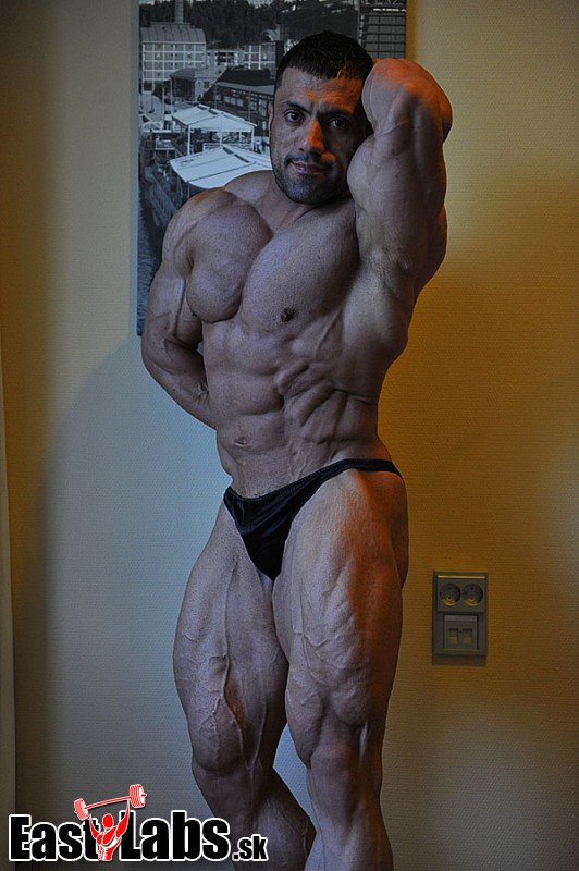 Mehdi Hatami