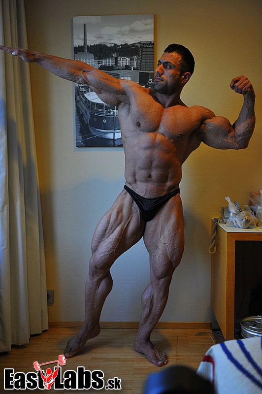 Mehdi Hatami