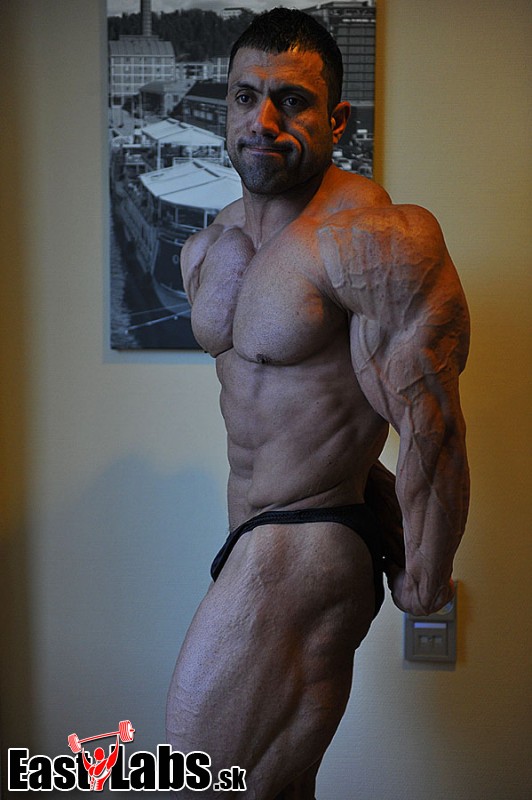 Mehdi Hatami