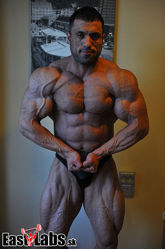 Mehdi Hatami