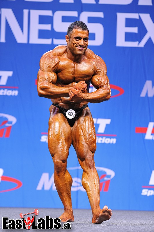 Mehdi Hatami