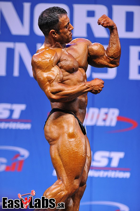Mehdi Hatami