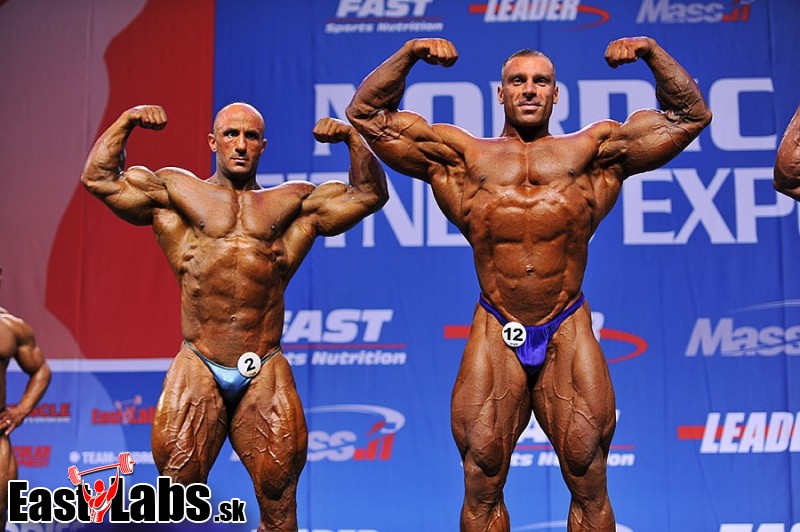 Mohamad Bannout, Daniele Seccarecci