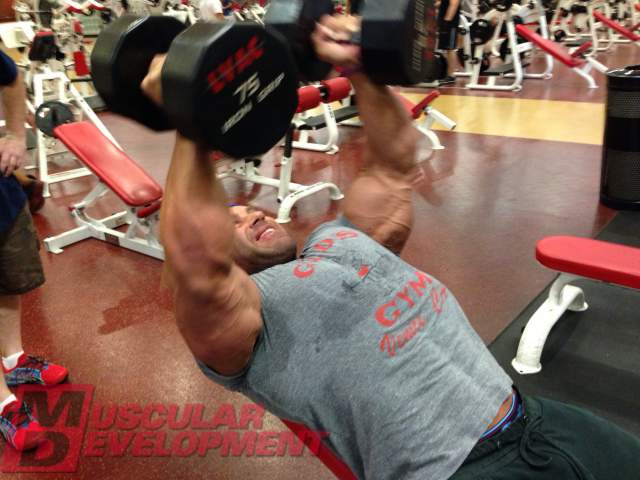 Jay Cutler