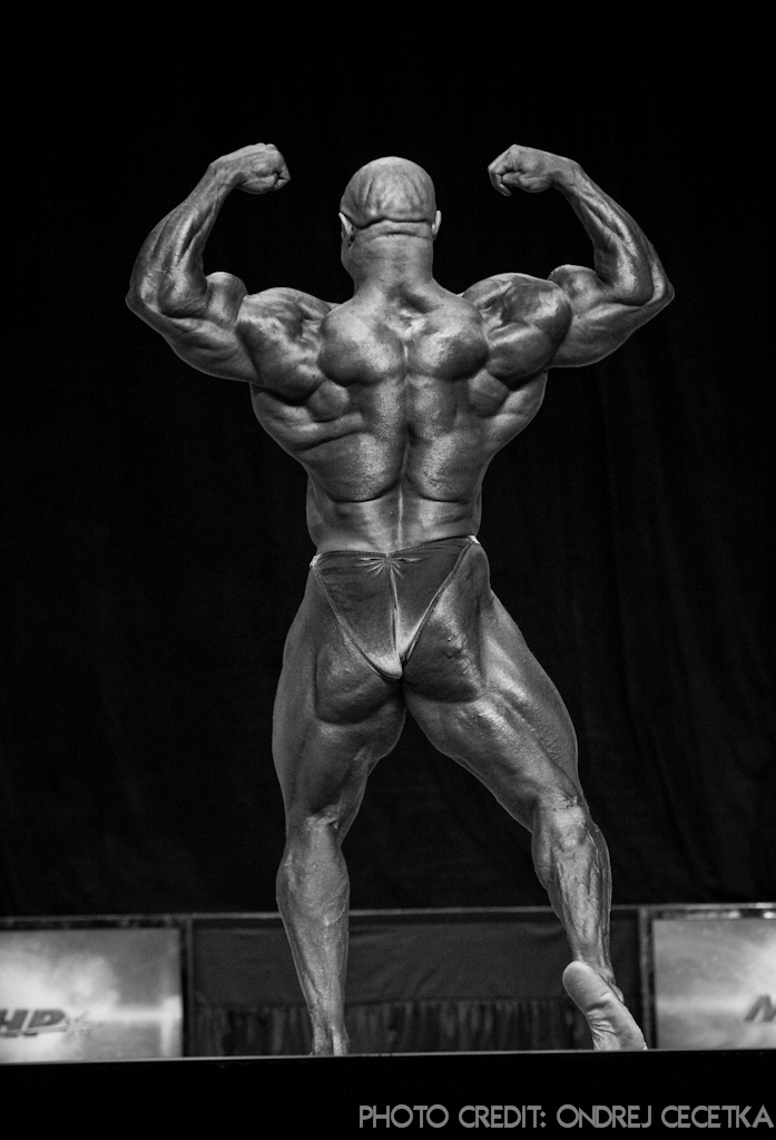 Bill Wilmore
