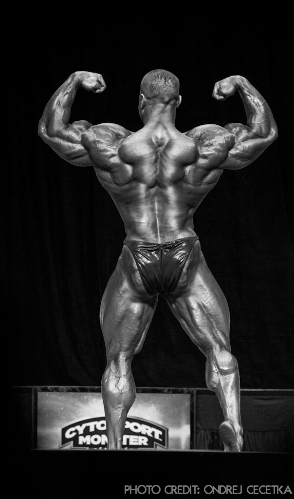 Evan Centopani
