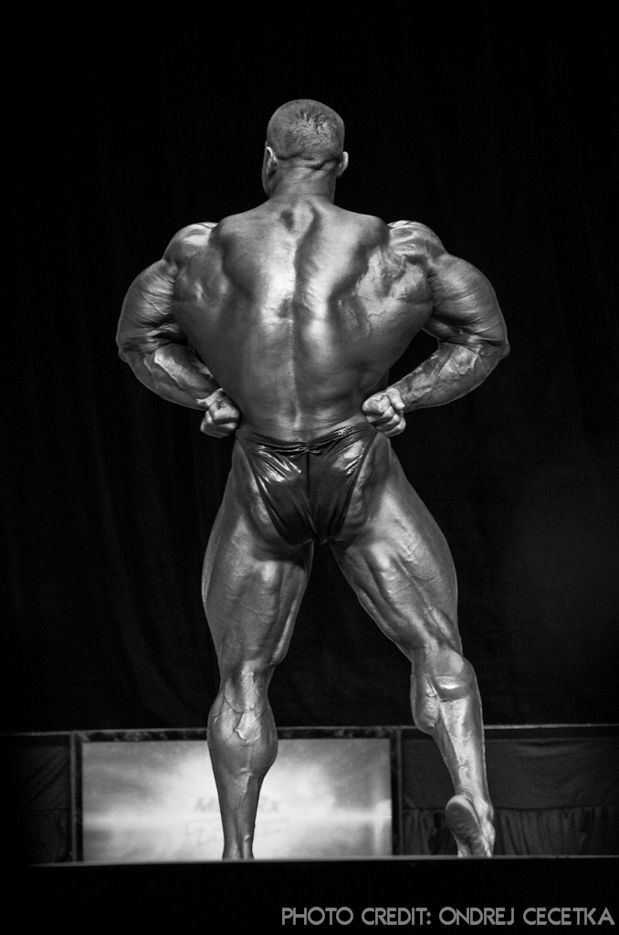 Evan Centopani