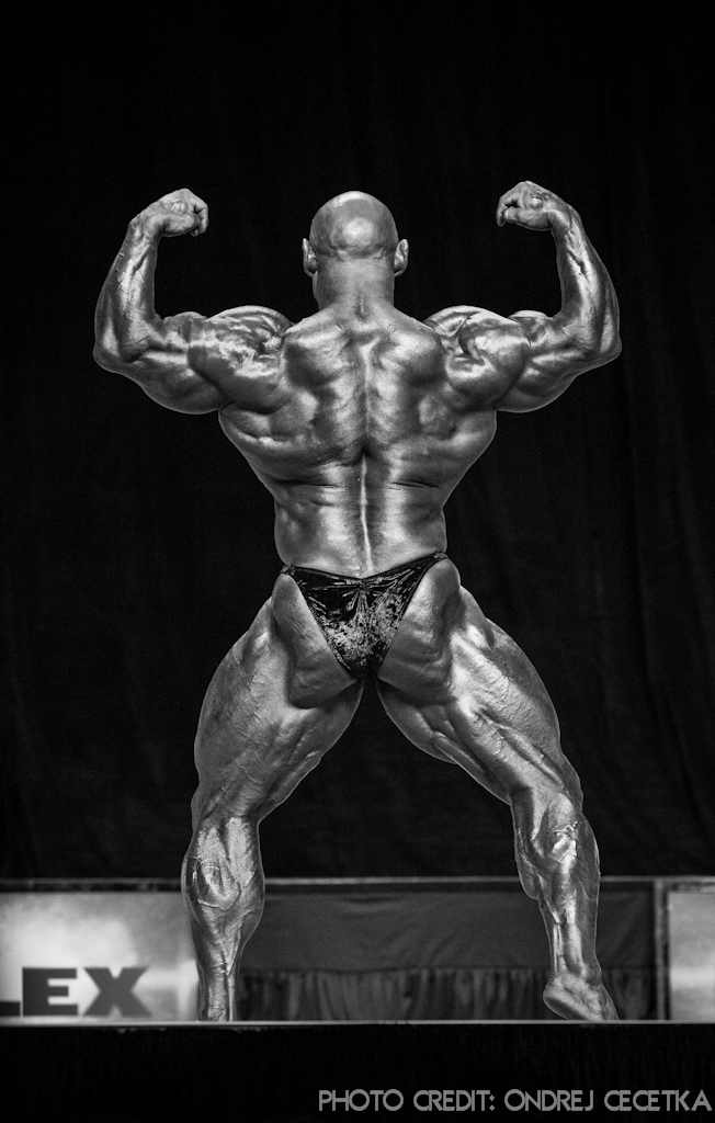 Branch Warren