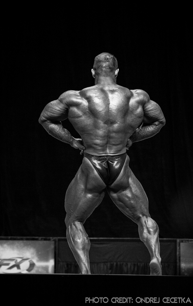 Ronny Rockel