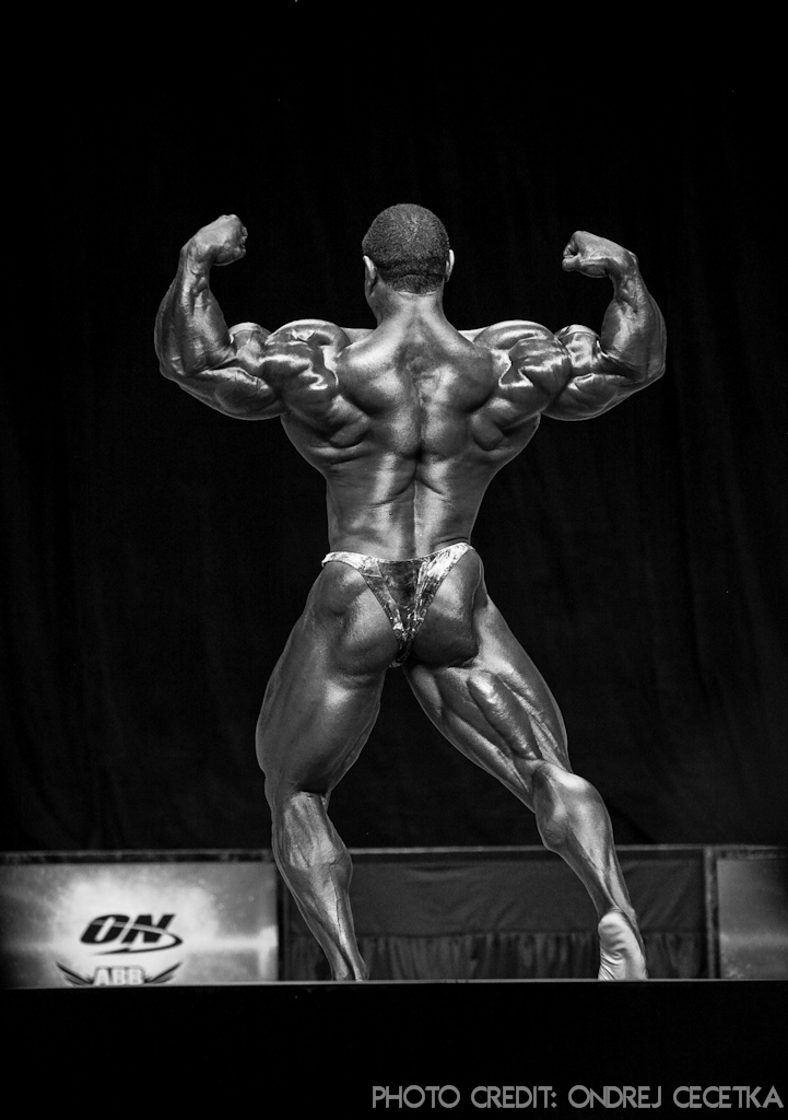 Roelly Winklaar