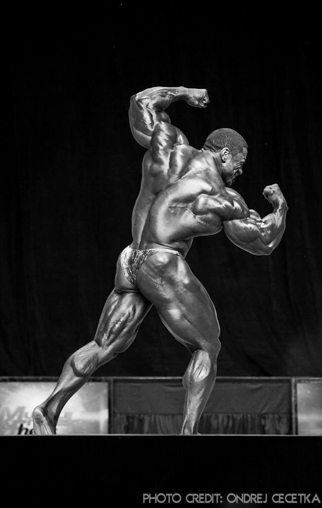 Roelly Winklaar