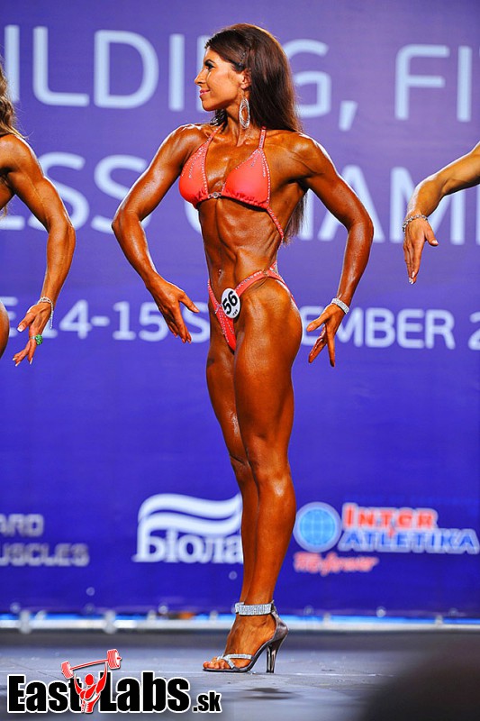 Stanislava Fockov�