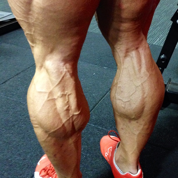 Lee Priest
