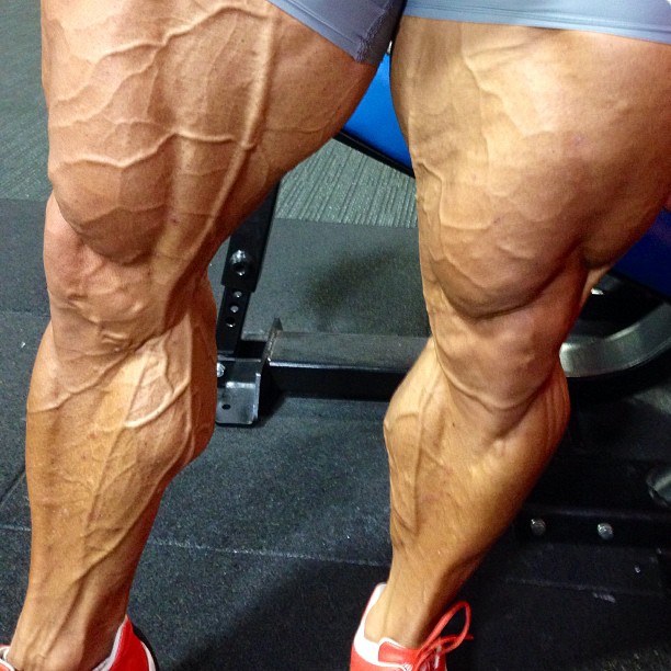 Lee Priest