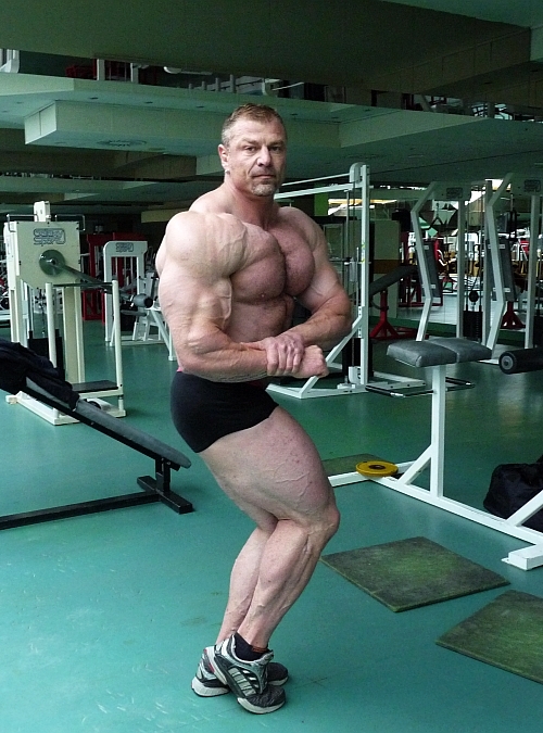 Dalibor H�jek