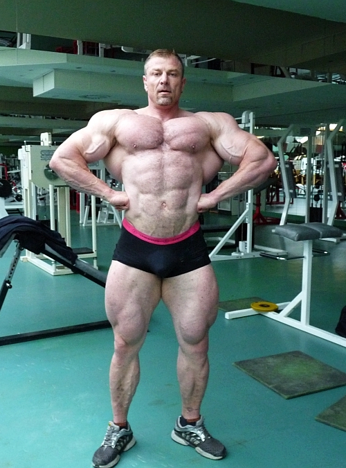 Dalibor H�jek