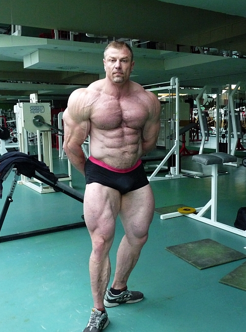 Dalibor H�jek