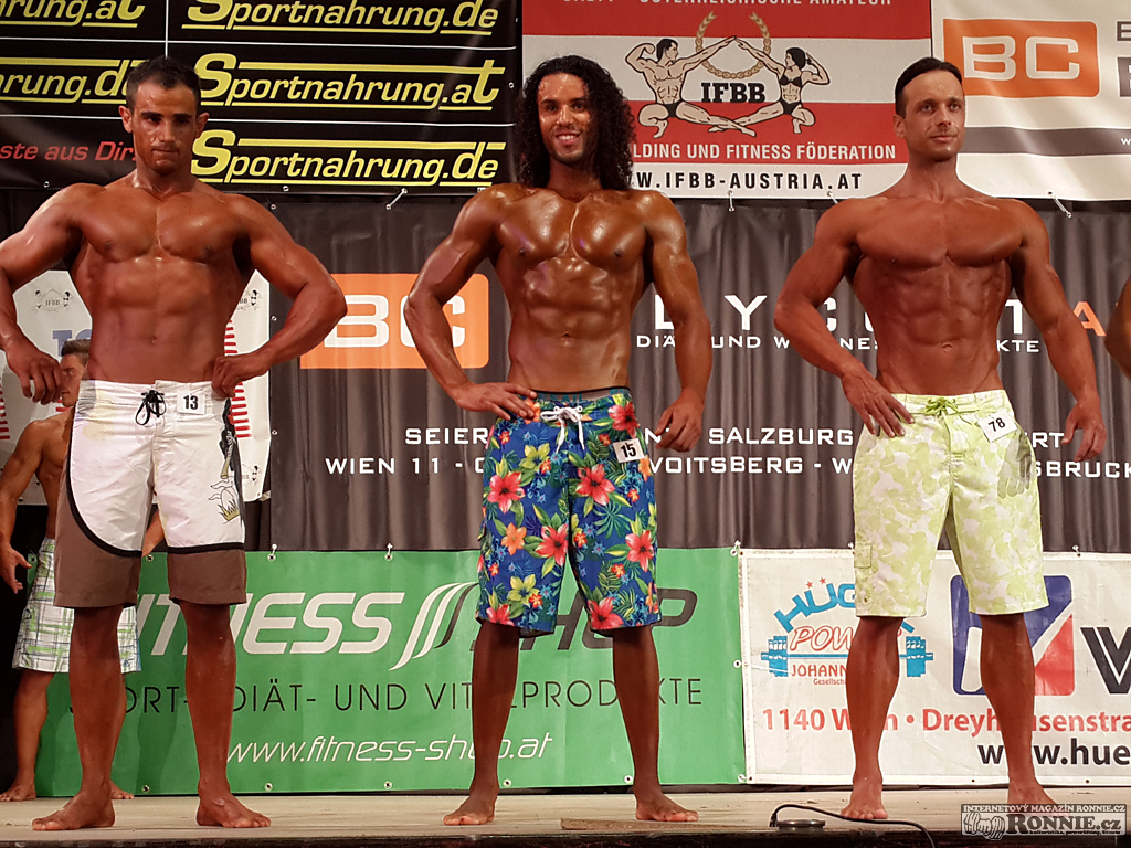 Mojtaba Sheykhi, Miroslav Kadlec, Mitja Nemec