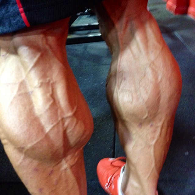 Lee Priest